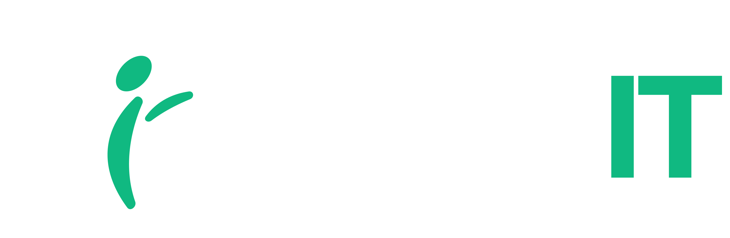 Nobel It Solution